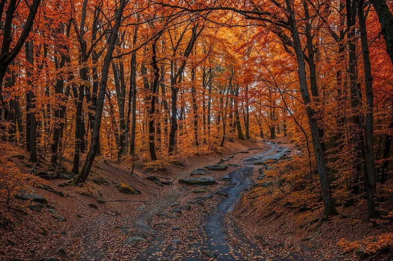 Bohemian Splendor